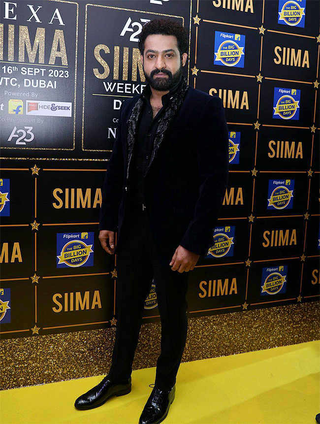 telugu winners at siima 2023 photos - Sakshi29