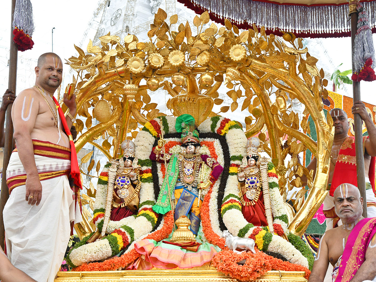 Tirumala Brahmotsavam Malayappa Swami on kalpavriksha vehicle Photos - Sakshi3