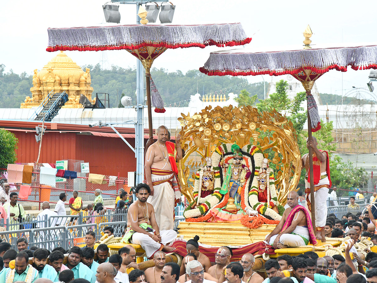 Tirumala Brahmotsavam Malayappa Swami on kalpavriksha vehicle Photos - Sakshi2