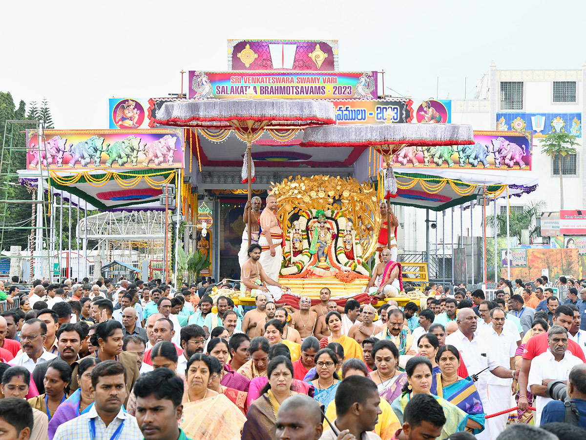 Tirumala Brahmotsavam Malayappa Swami on kalpavriksha vehicle Photos - Sakshi1