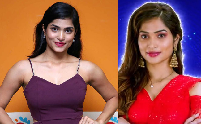 Bigg Boss 7 Telugu Contestants Remuneration Details - Sakshi13