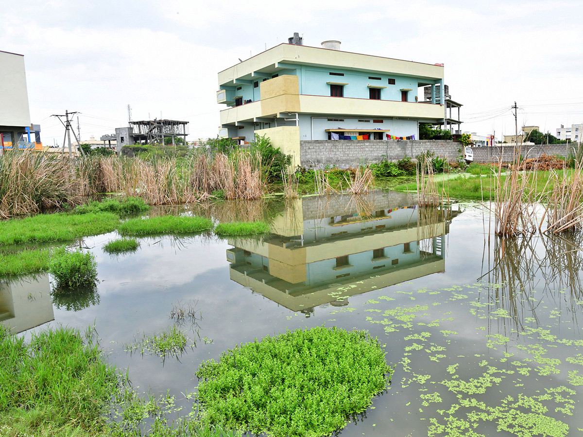 Best Photos of The Week in AP and Telangana Photo Gallery - Sakshi30