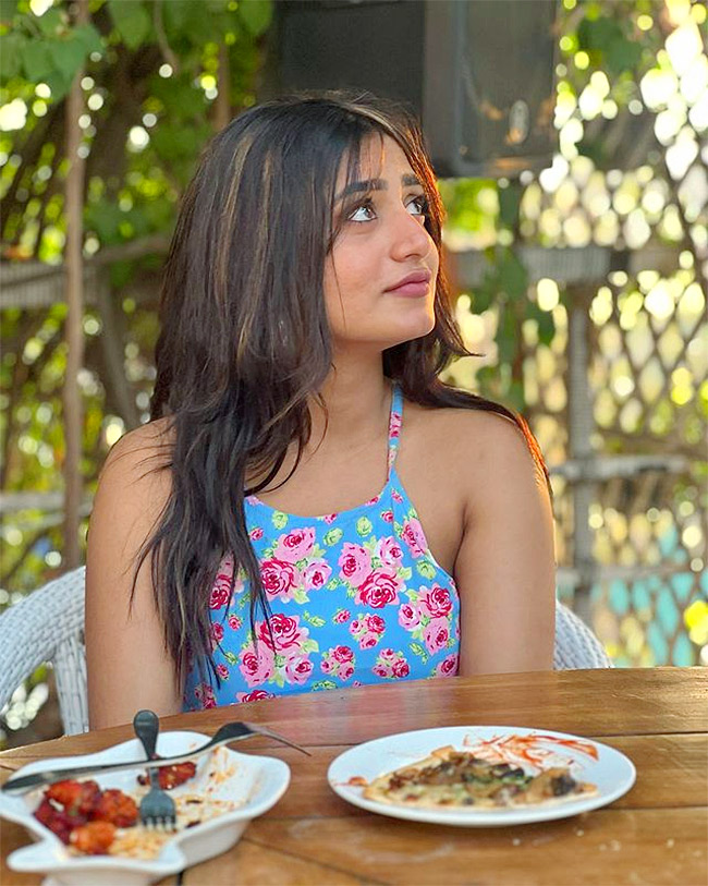 Nayani Pavani Enters Into Big Boss7 Special Photos - Sakshi23