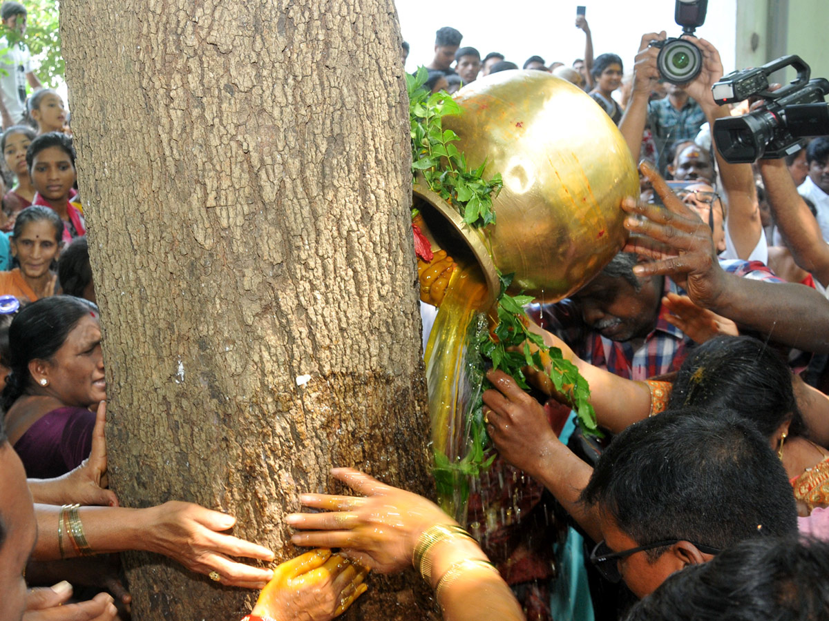 Best Photos of The Week in AP and Telangana Photo Gallery - Sakshi39