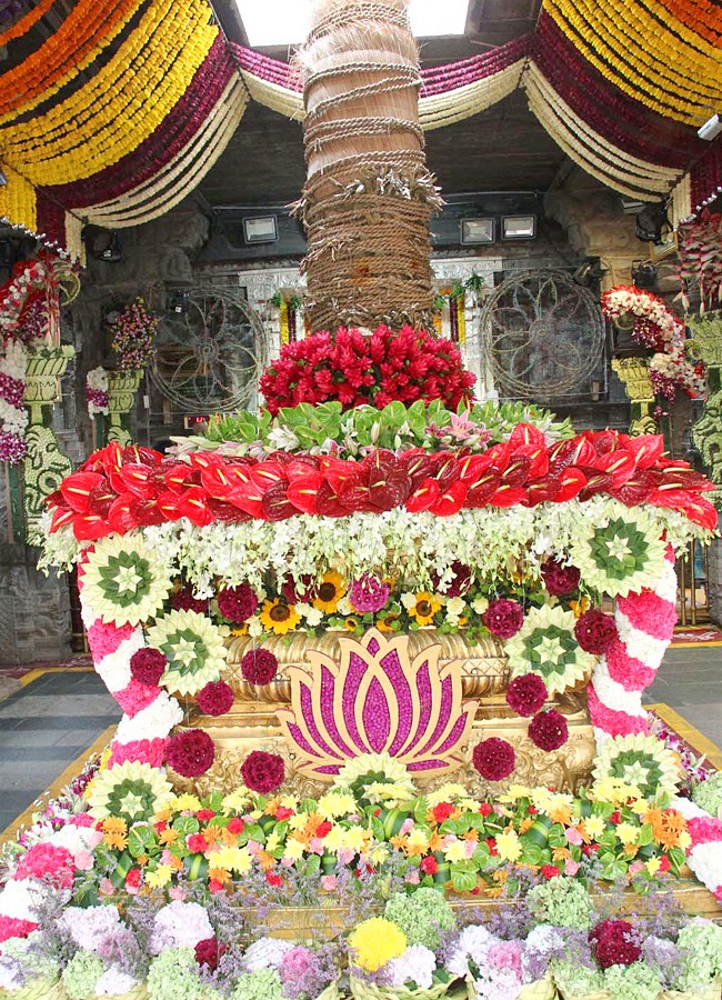 Srivari Navratri Brahmotsavam Golden Tiruchi Utsav - Sakshi15