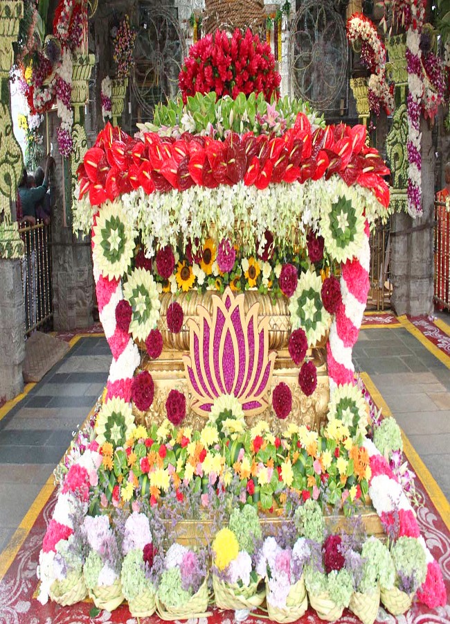 Srivari Navratri Brahmotsavam Golden Tiruchi Utsav - Sakshi16