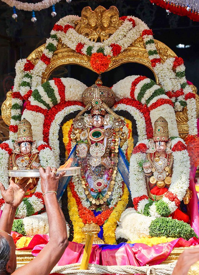 Srivari Navratri Brahmotsavam Golden Tiruchi Utsav - Sakshi3