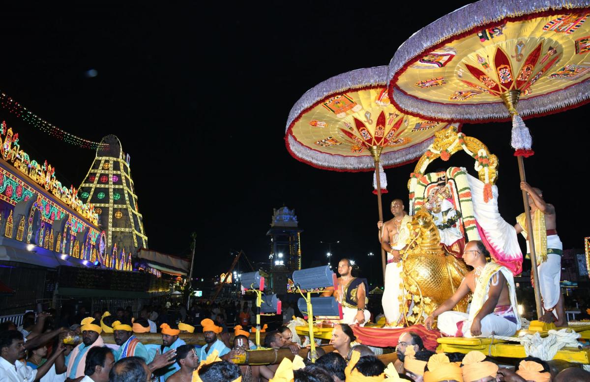 Tirumala Srivari Navaratri Brahmotsavam 2023 Hamsa Vahana Seva Photos - Sakshi1