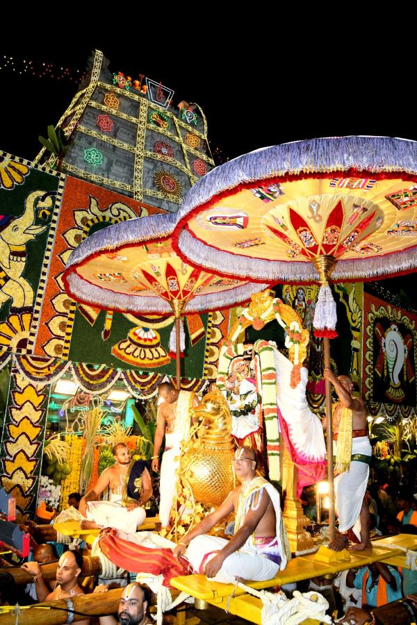 Tirumala Srivari Navaratri Brahmotsavam 2023 Hamsa Vahana Seva Photos - Sakshi2