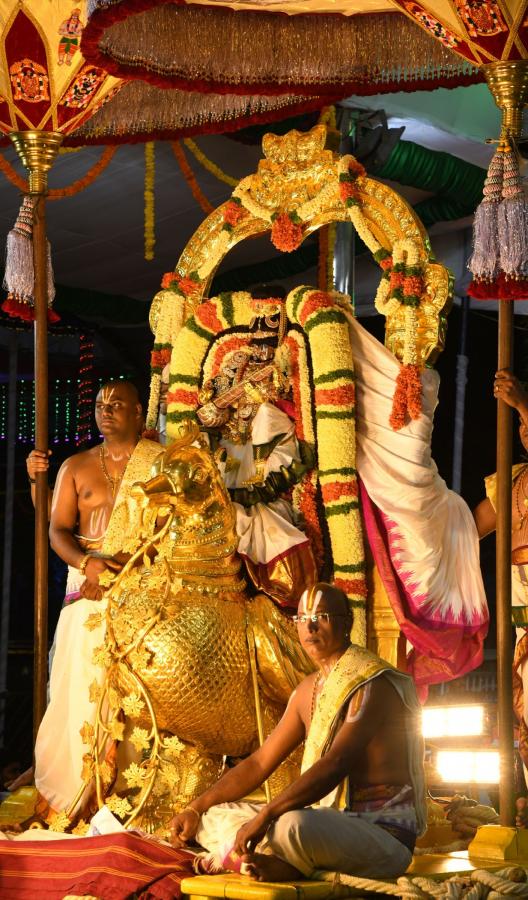 Tirumala Srivari Navaratri Brahmotsavam 2023 Hamsa Vahana Seva Photos - Sakshi5