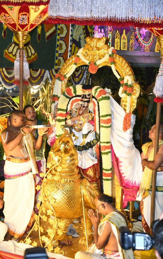 Tirumala Srivari Navaratri Brahmotsavam 2023 Hamsa Vahana Seva Photos - Sakshi6