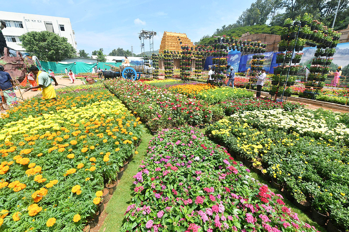 Special Photos As Part Of Tirumala Brahmotsavam - Sakshi32