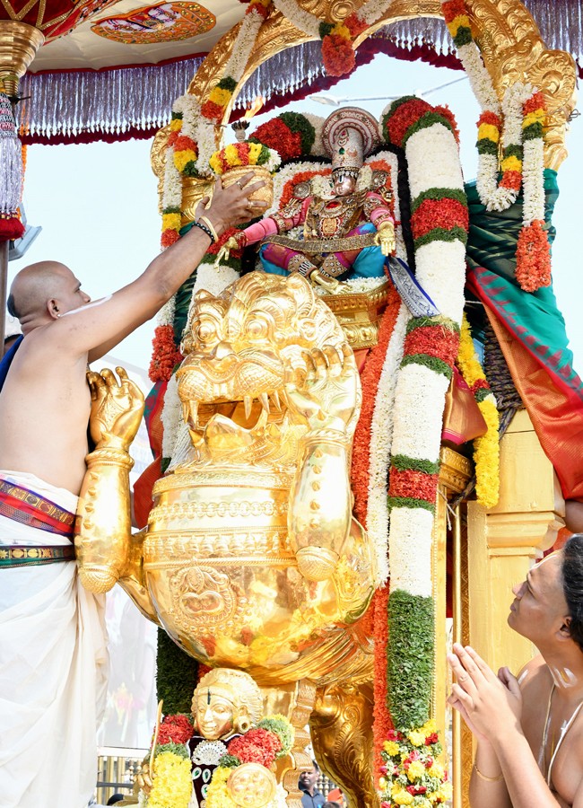 Tirumala Brahmotsavam: Sri Malayappaswamy On Simha Vahanam - Sakshi11