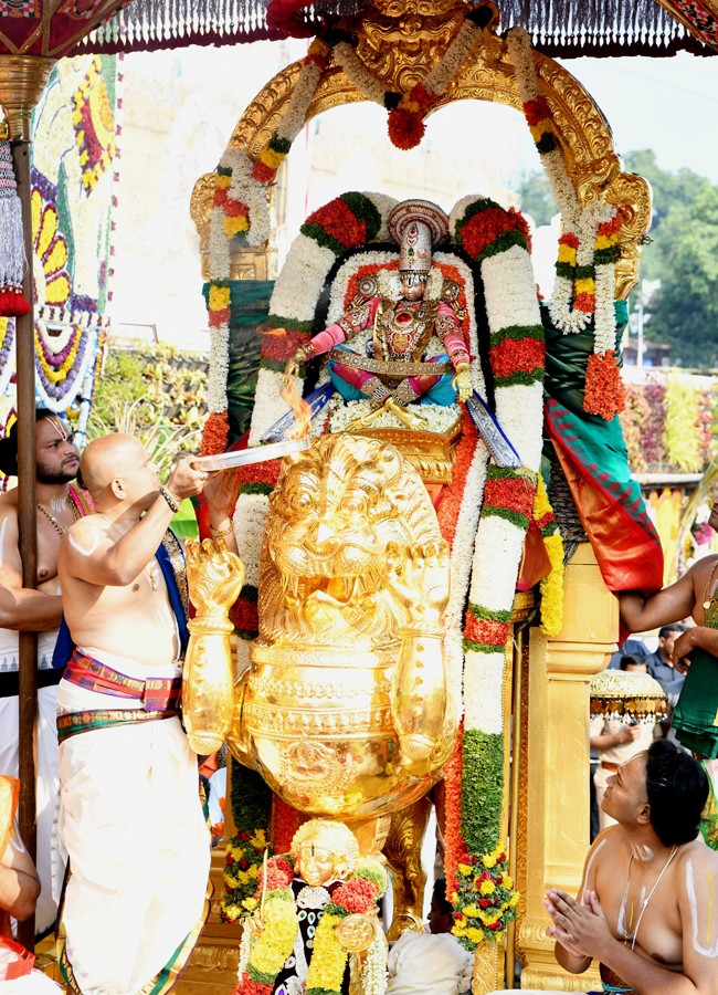 Tirumala Brahmotsavam: Sri Malayappaswamy On Simha Vahanam - Sakshi13