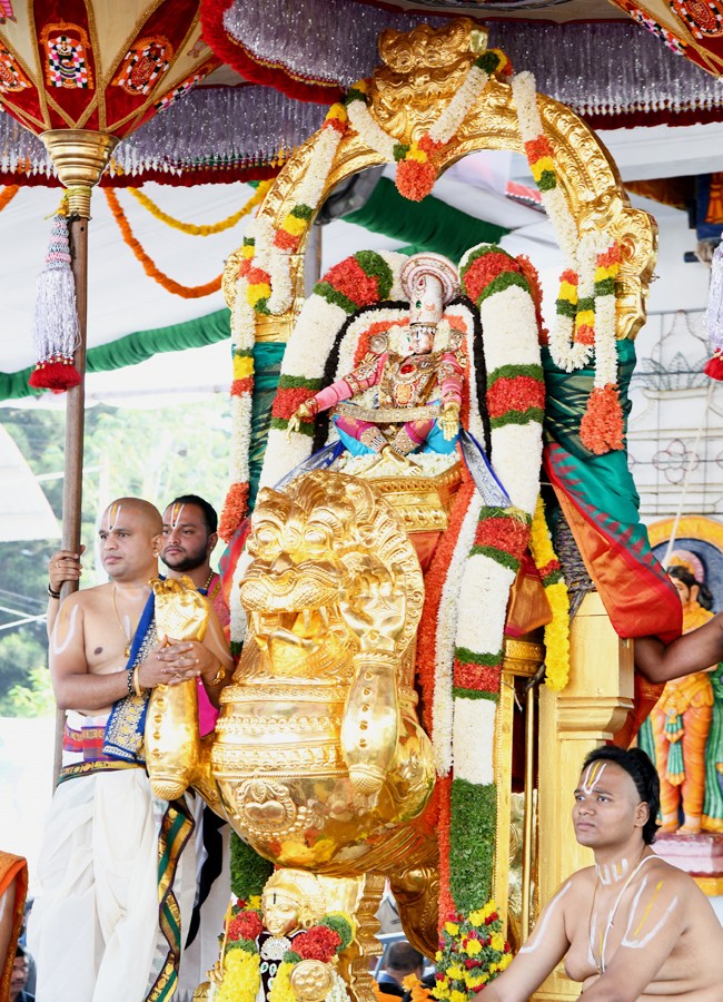 Tirumala Brahmotsavam: Sri Malayappaswamy On Simha Vahanam - Sakshi8