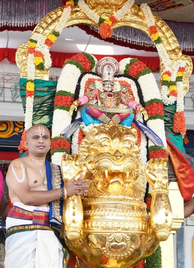 Tirumala Brahmotsavam: Sri Malayappaswamy On Simha Vahanam - Sakshi9