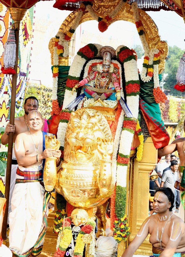 Tirumala Brahmotsavam: Sri Malayappaswamy On Simha Vahanam - Sakshi10