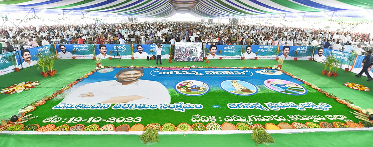 Photos: Massive Crowd At Yemmiganur Jagananna Chedodu Sabha - Sakshi19