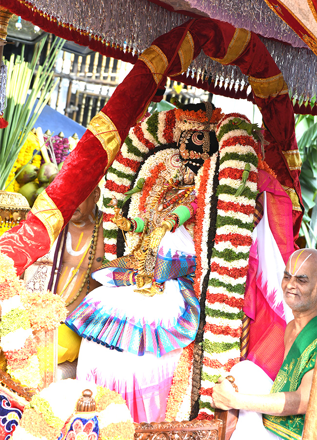 tirumala brahmothsavalu mohini avatharamu PHOTOS - Sakshi7