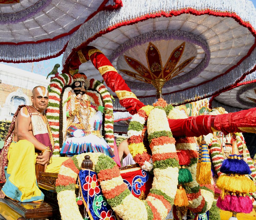 tirumala brahmothsavalu mohini avatharamu PHOTOS - Sakshi2