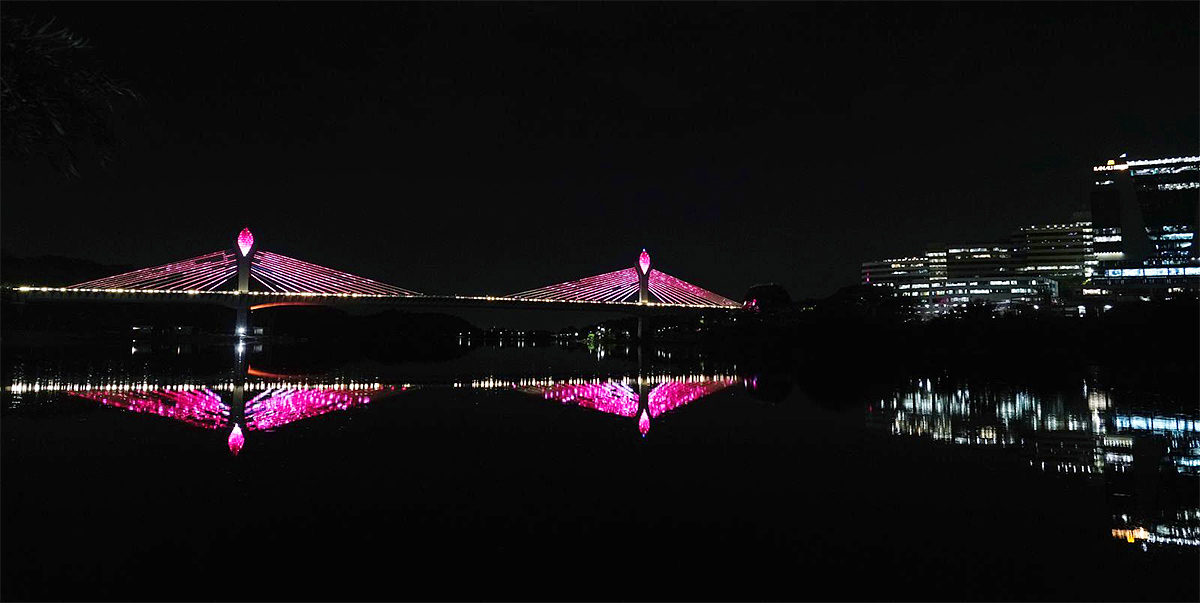 Hyderabad Turns Pink Amid Breast Cancer Awareness 2023 - Sakshi2