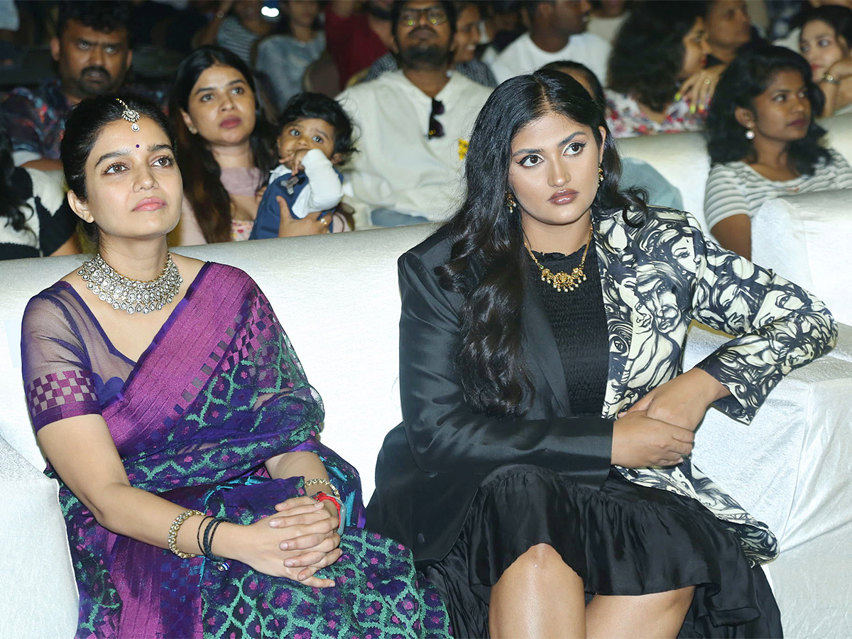 Month Of Madhu Pre Release Event LIVE Photos - Sakshi14