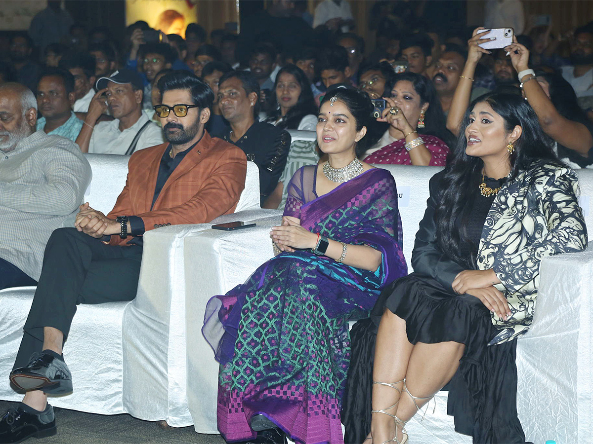 Month Of Madhu Pre Release Event LIVE Photos - Sakshi22