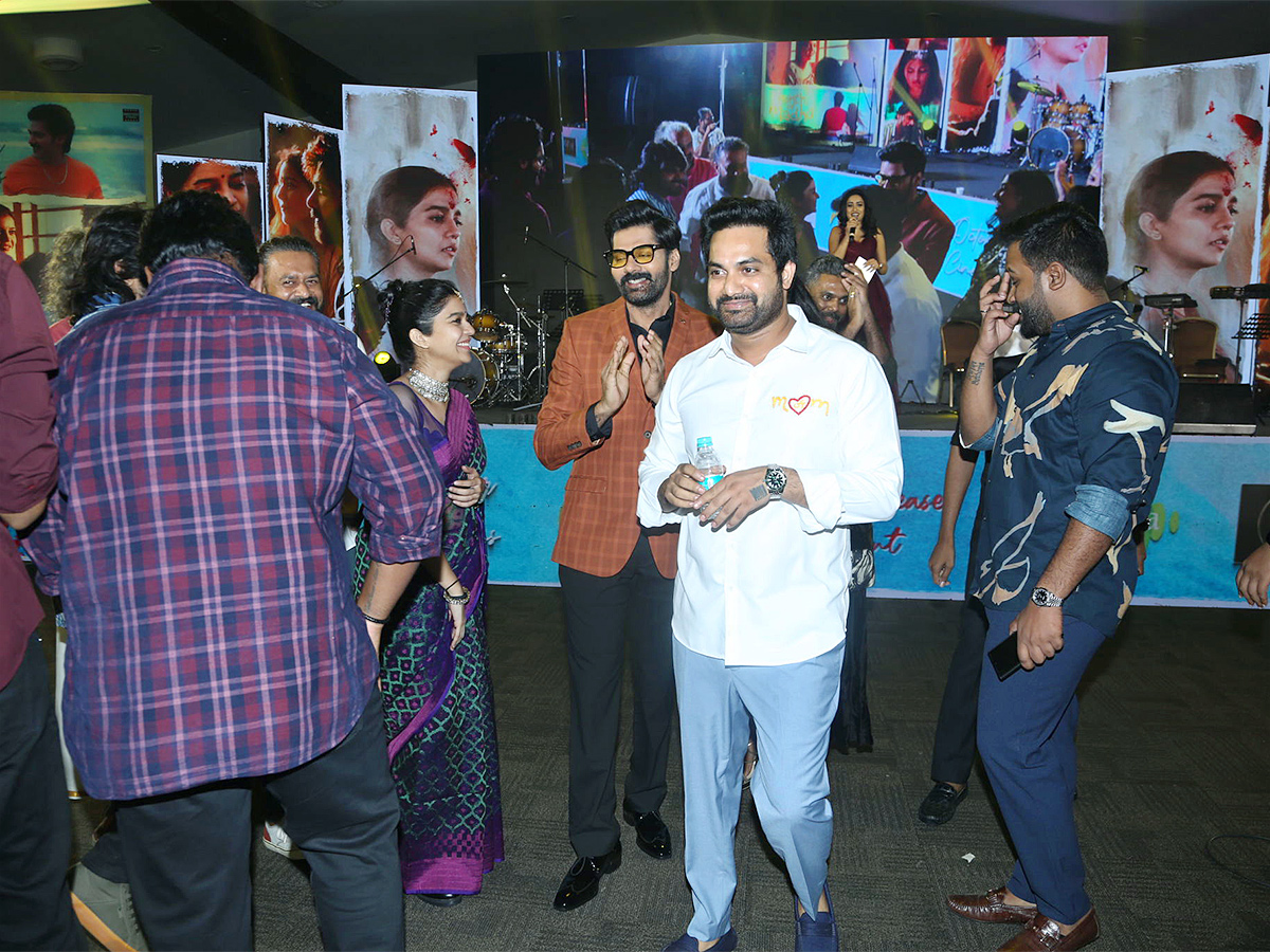 Month Of Madhu Pre Release Event LIVE Photos - Sakshi25