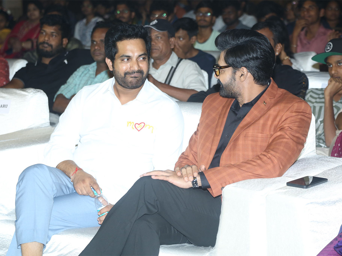 Month Of Madhu Pre Release Event LIVE Photos - Sakshi26