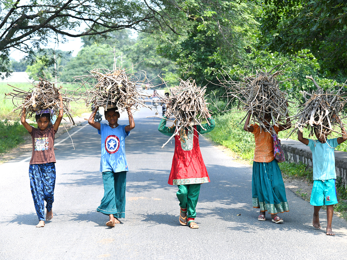 Best Photos of The Week in AP and Telangana Photo Gallery - Sakshi3