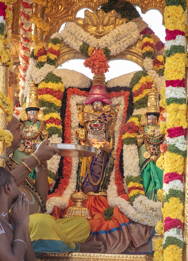 Srimalayappa Swamy On Golden Chariot - Sakshi23