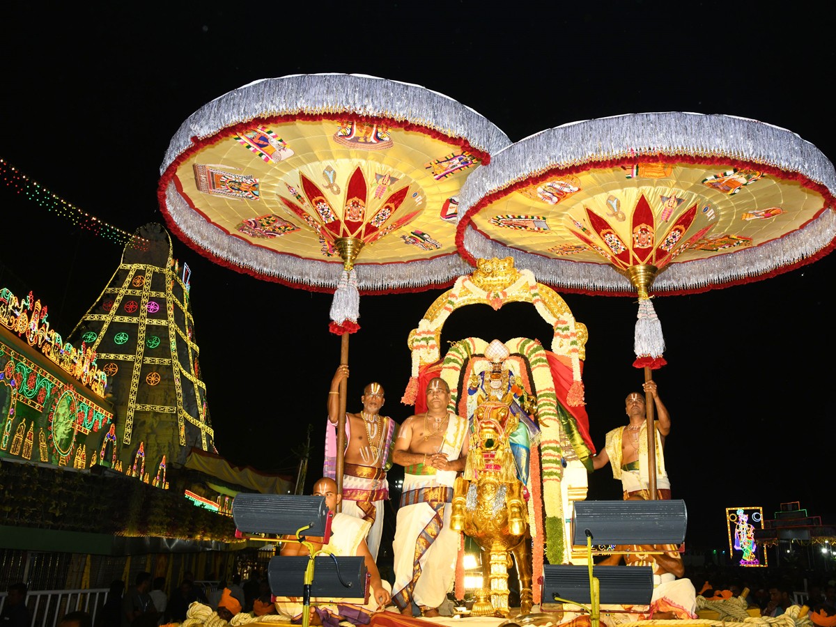 Sri Malayappa Swamy Navarathri Ustavam On Golden Horse Chariot - Sakshi1