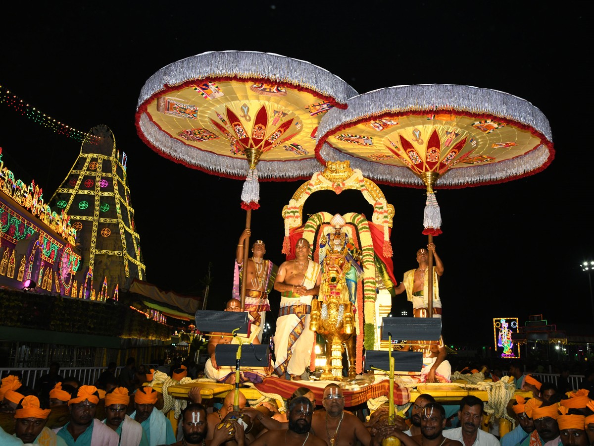 Sri Malayappa Swamy Navarathri Ustavam On Golden Horse Chariot - Sakshi2