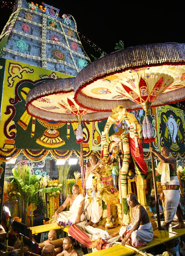 Sri Malayappa Swamy Navarathri Ustavam On Golden Horse Chariot - Sakshi3