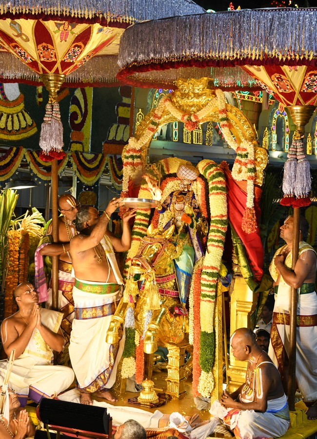 Sri Malayappa Swamy Navarathri Ustavam On Golden Horse Chariot - Sakshi5