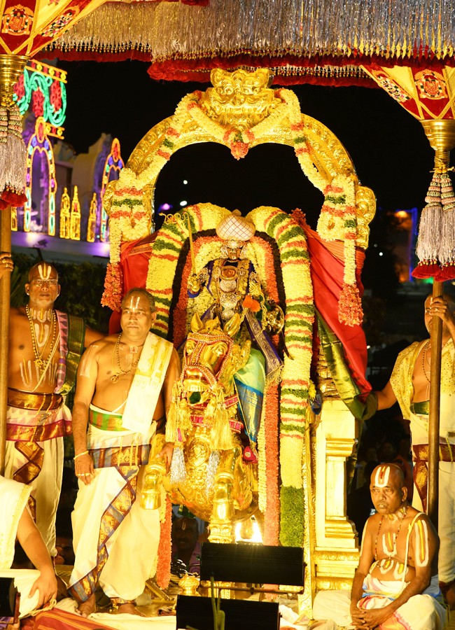 Sri Malayappa Swamy Navarathri Ustavam On Golden Horse Chariot - Sakshi7