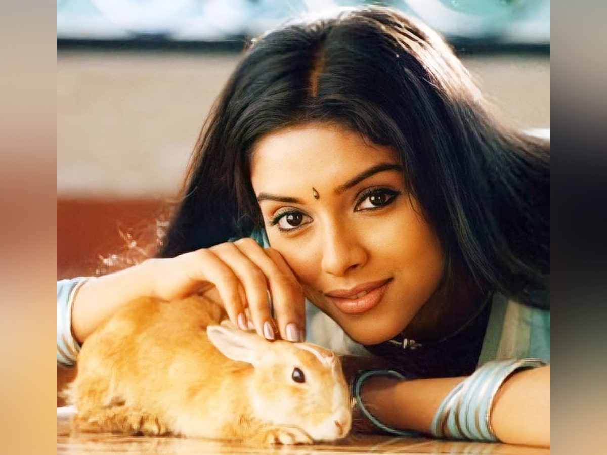 Asin Thottumkal Birthday Special Gallery - Sakshi24