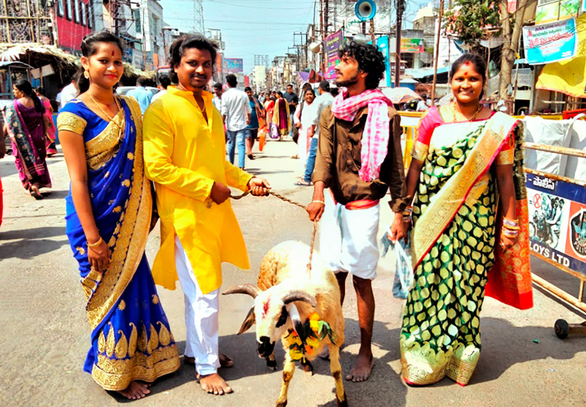 Vizianagaram Pydithalli Ammavaru Sirimanu Utsavam Photos 2023 - Sakshi24