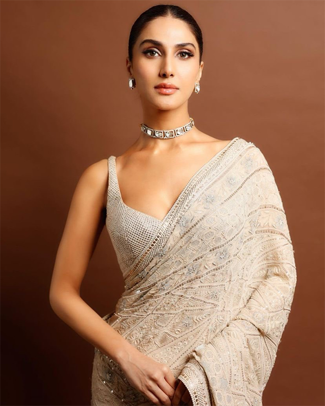 Bollywood Actress Vaani Kapoor Hot Photos - Sakshi5