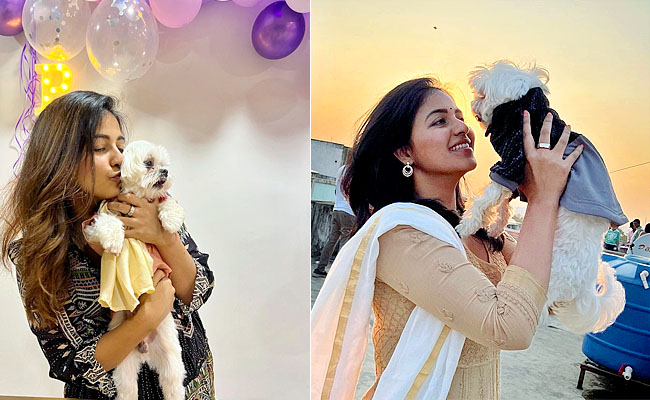 Actress Anjali Pet Dog Polo Birthday Celebration HD Photo Gallery - Sakshi1