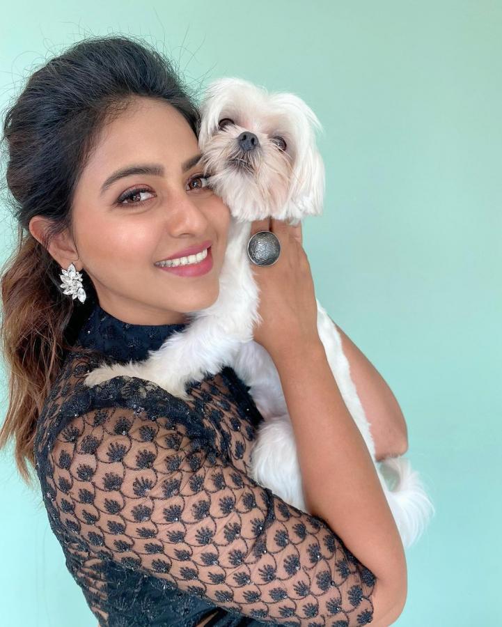 Actress Anjali Pet Dog Polo Birthday Celebration HD Photo Gallery - Sakshi13