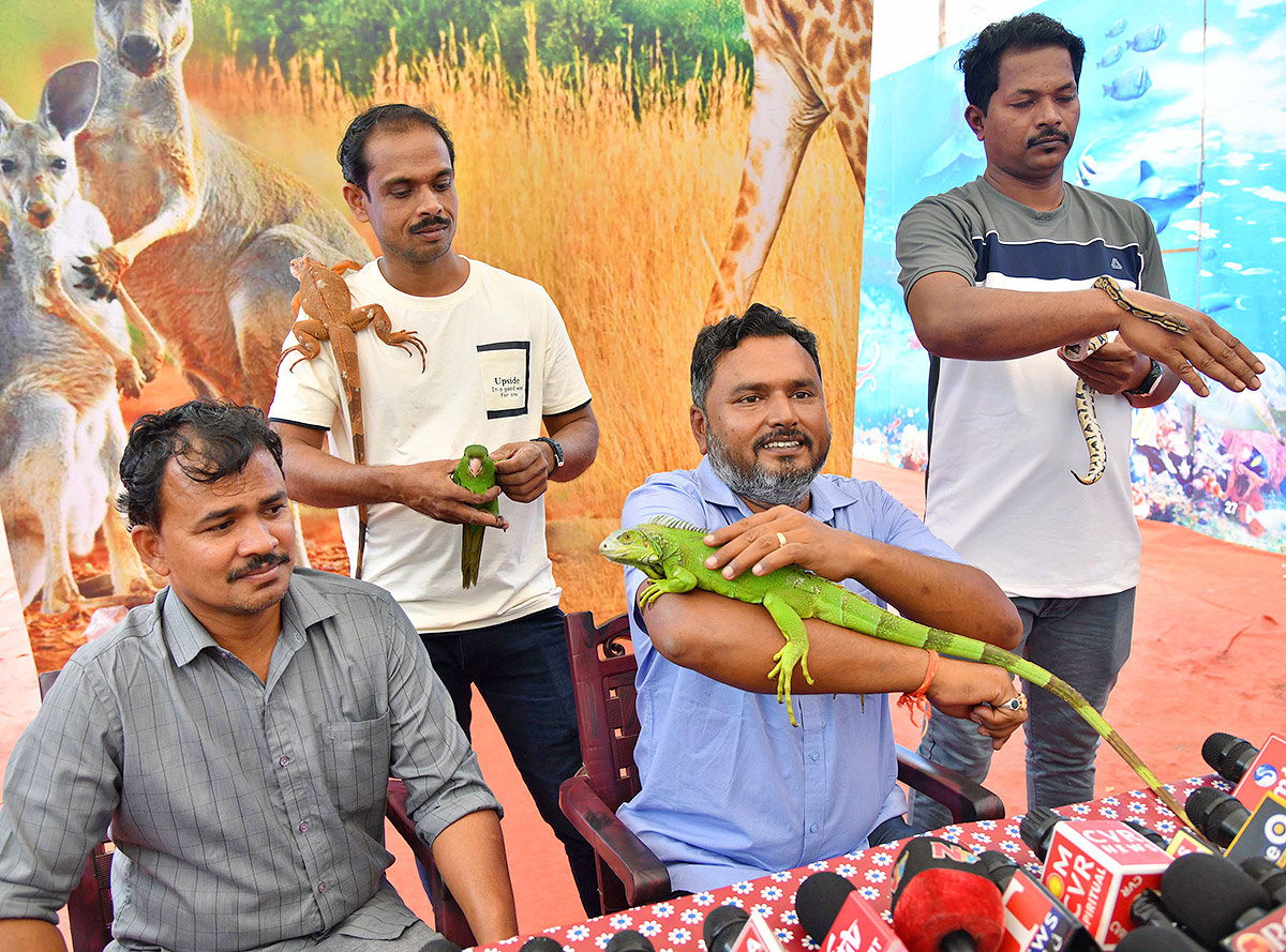 Exhibition Of 150 Types Foreign Birds In Hyderabad - Sakshi2