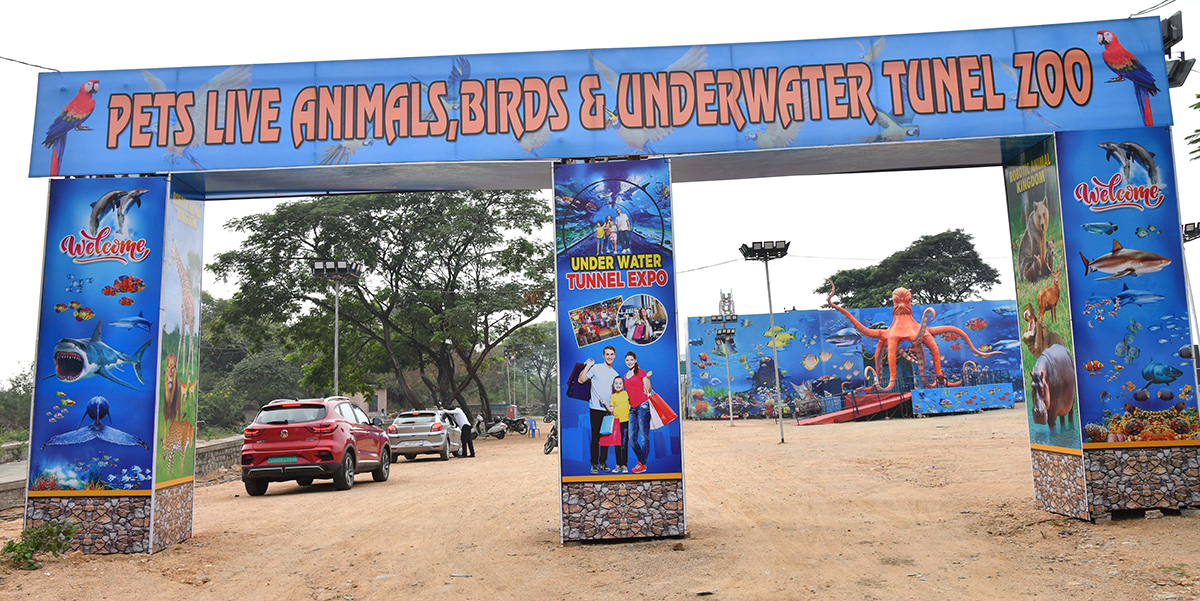 Exhibition Of 150 Types Foreign Birds In Hyderabad - Sakshi5