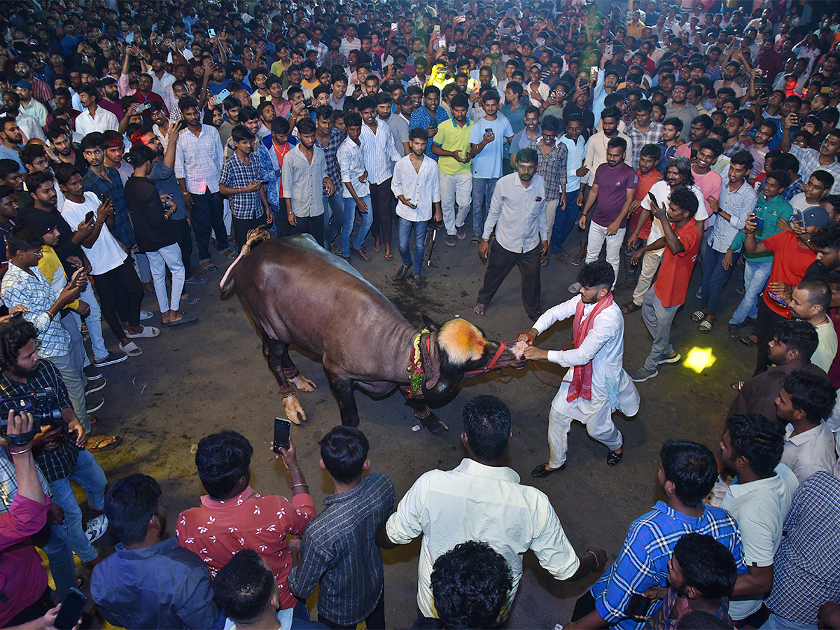 Sadar Utsavalu in Hyderabad Photos - Sakshi1