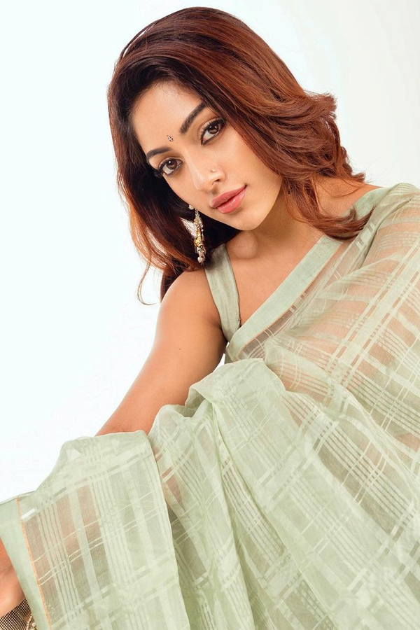 Anu Emmanuel in a traditional saree Photos - Sakshi4