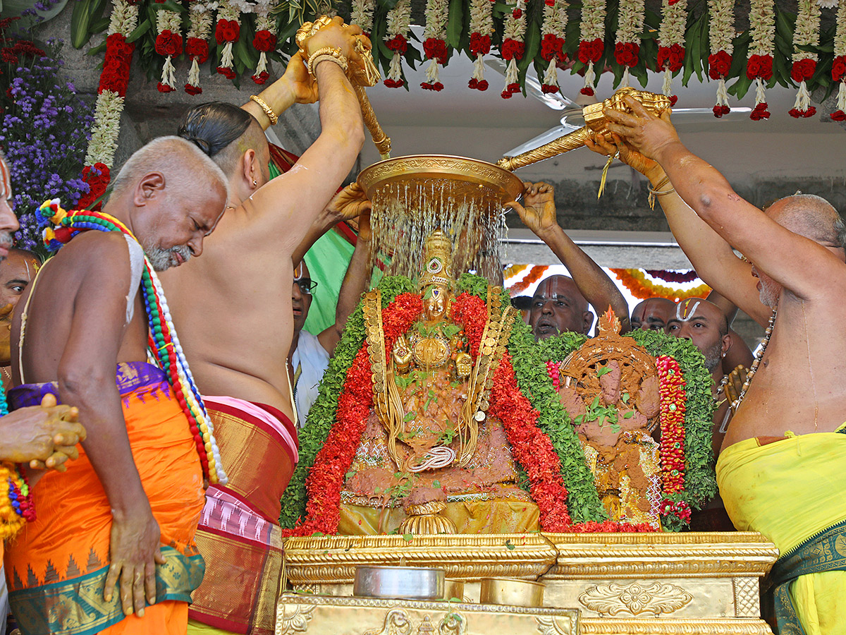 Tiruchanoor Sri Padmavathi Ammavari Karthika Brahmotsavam 2023 Photos - Sakshi14