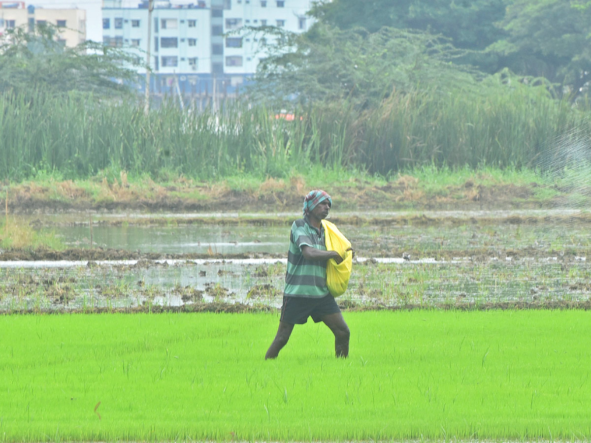 Best Photos of The Week in AP and Telangana Photo Gallery - Sakshi14