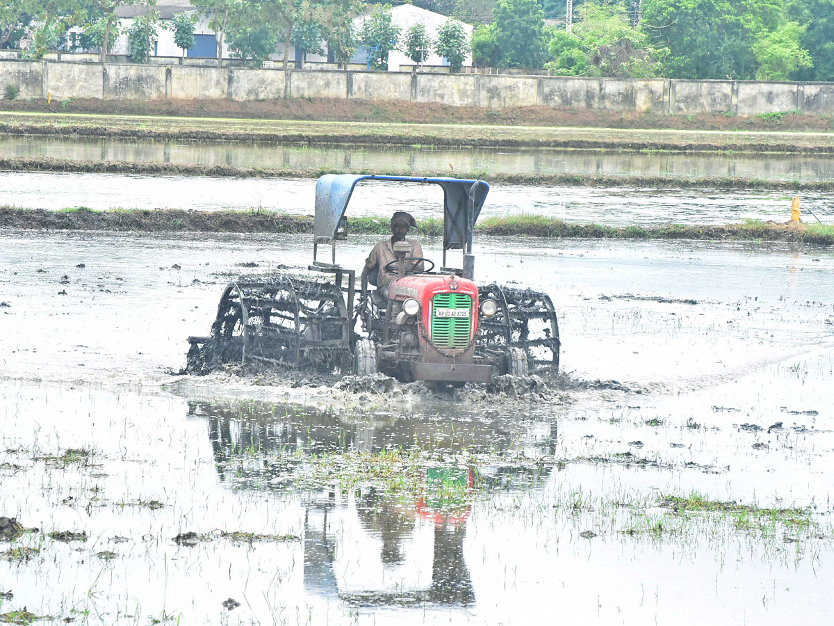 Best Photos of The Week in AP and Telangana Photo Gallery - Sakshi15