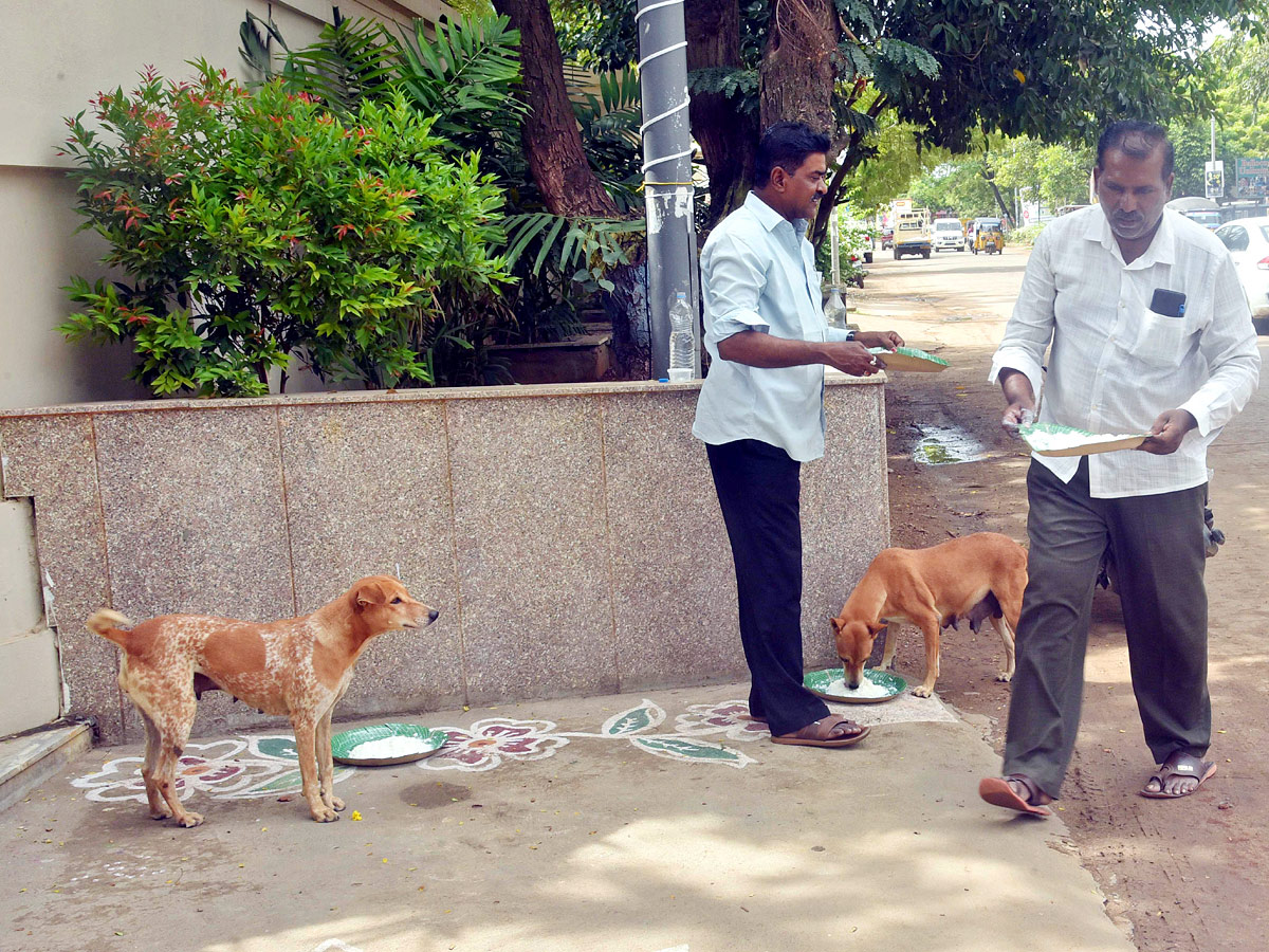 Best Photos of The Week in AP and Telangana Photo Gallery - Sakshi16