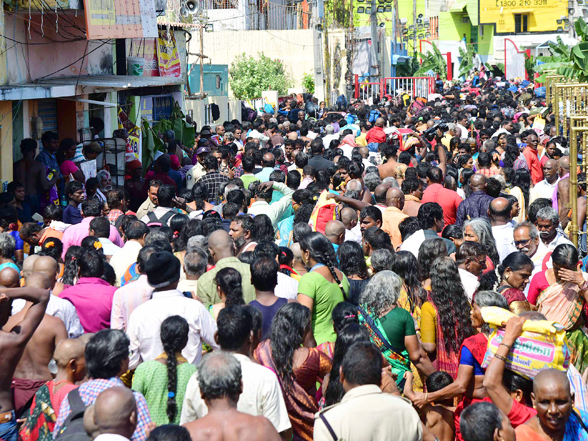 Tiruchanoor Sri Padmavathi Ammavari Karthika Brahmotsavam 2023 Photos - Sakshi36